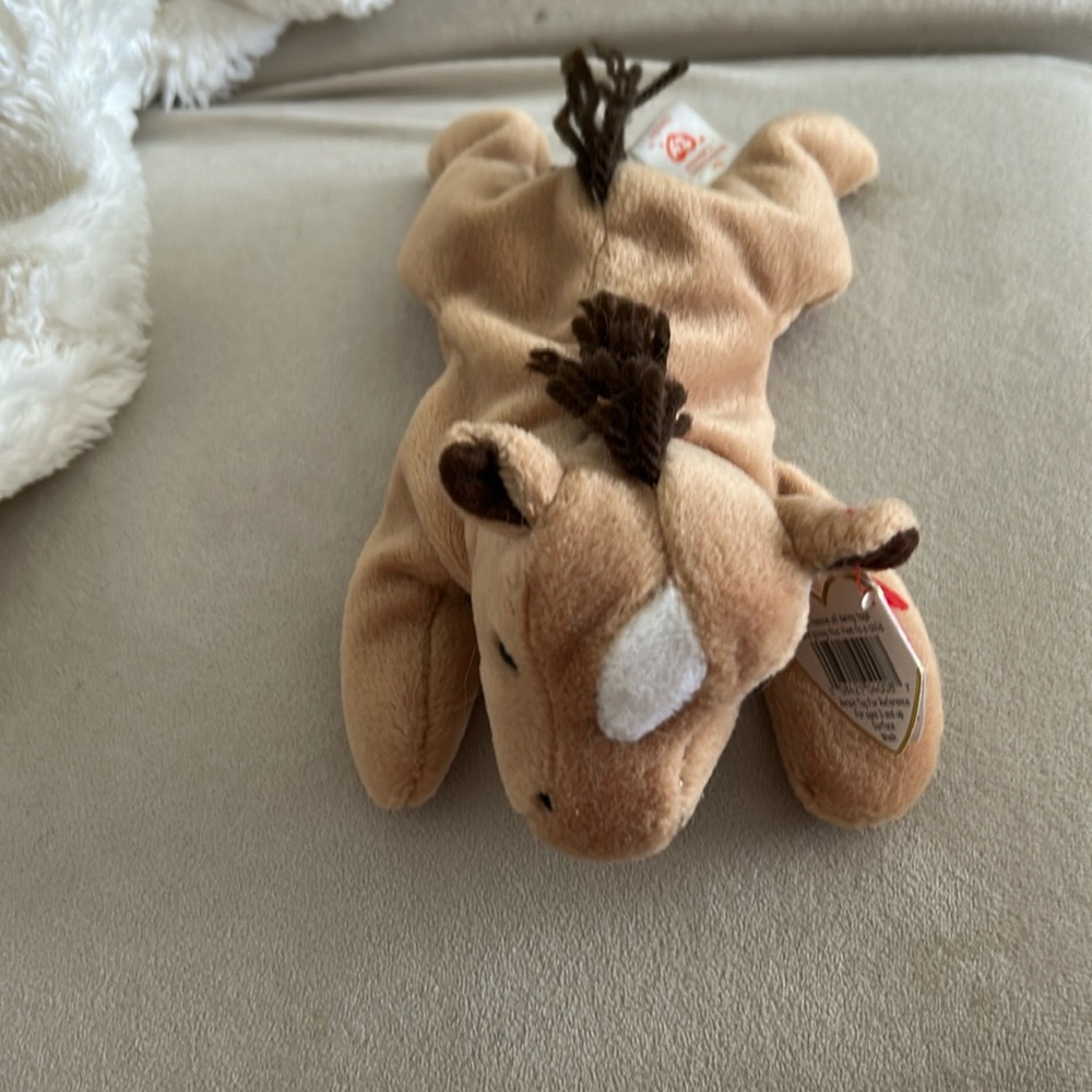 Derby Beanie Baby